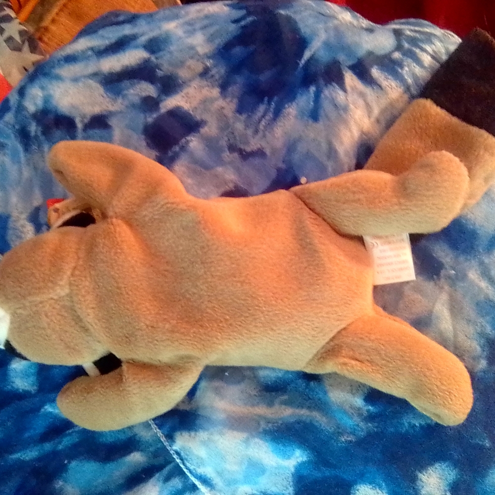 Ty beanie Ringo Raccoon 1996' PVC ERRORS - Picture 9 of 13